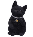 Nemesis Now Cattitude 16.5cm