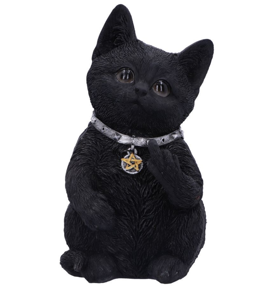 Nemesis Now Cattitude 16.5cm