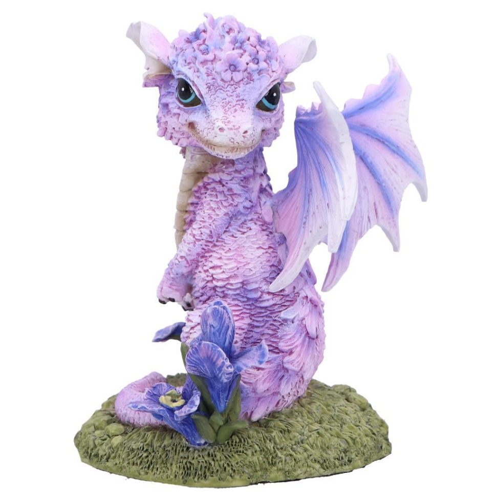 Nemesis Now Iris Flower Dragon 12cm