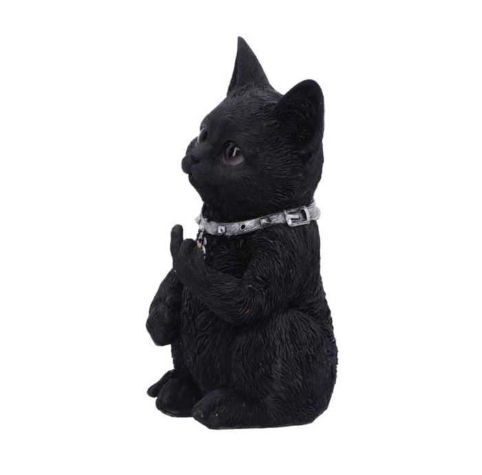 Nemesis Now Cattitude 16.5cm