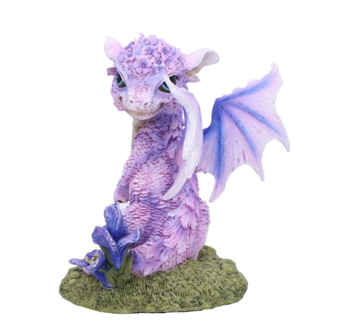 Nemesis Now Iris Flower Dragon 12cm