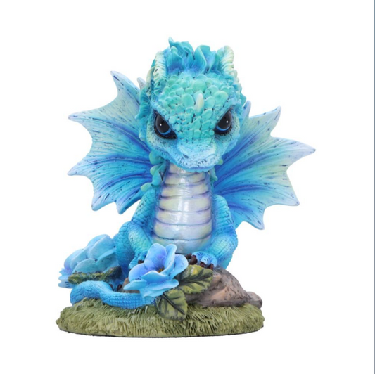 Nemesis Now Blue Poppy Flower Dragon 11cm