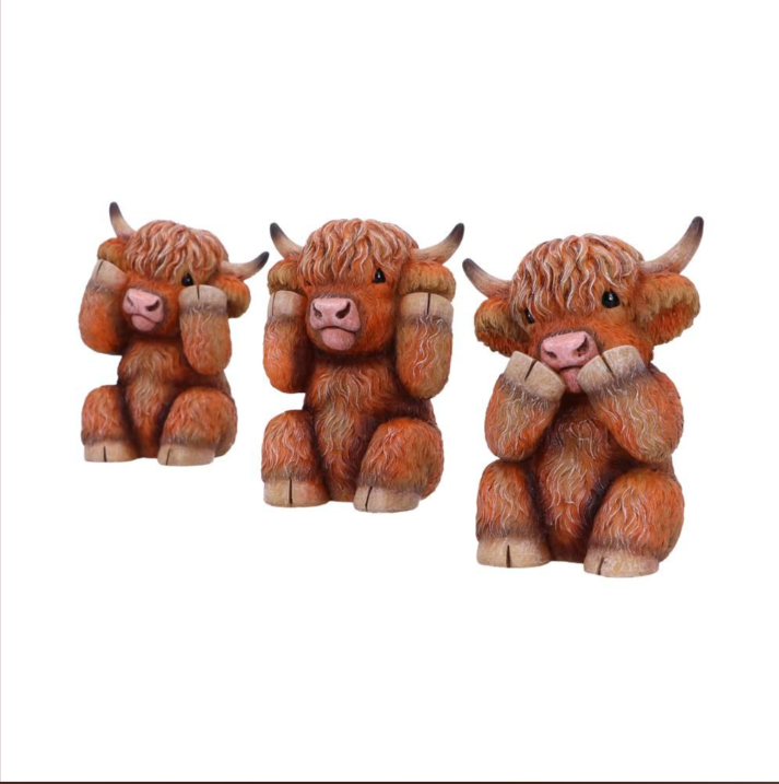 Nemesis Now Three Wise Highland Cows 9.6cm