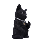Nemesis Now Cattitude 16.5cm