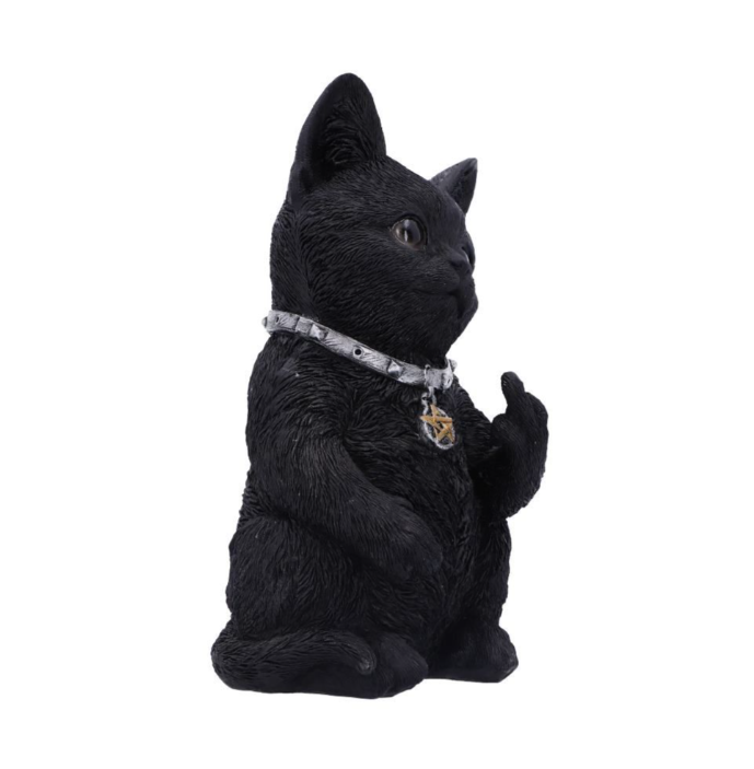 Nemesis Now Cattitude 16.5cm