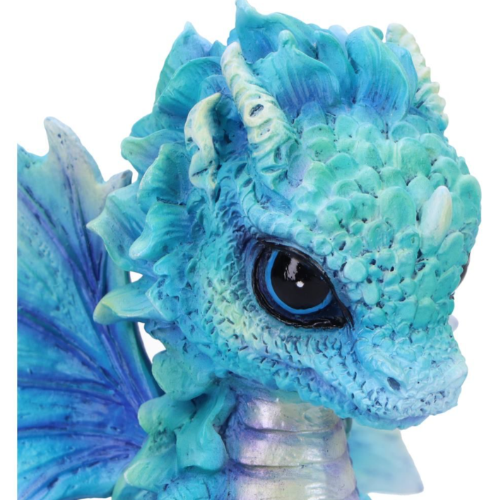 Nemesis Now Blue Poppy Flower Dragon 11cm