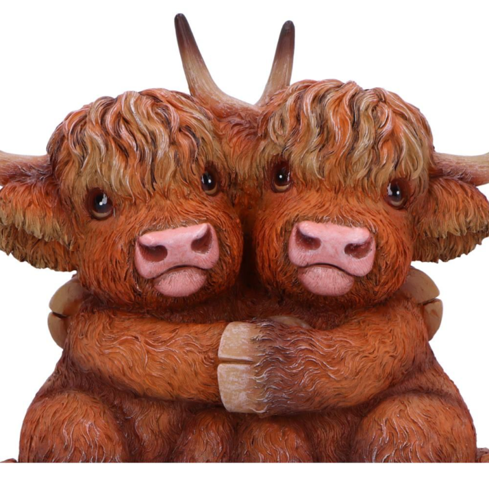 Nemesis Now Highland Hug 14.5cm