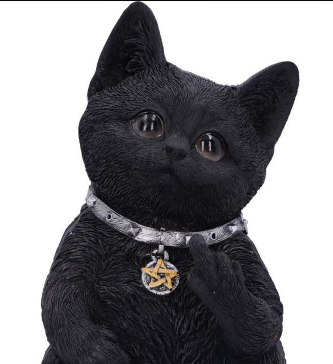 Nemesis Now Cattitude 16.5cm
