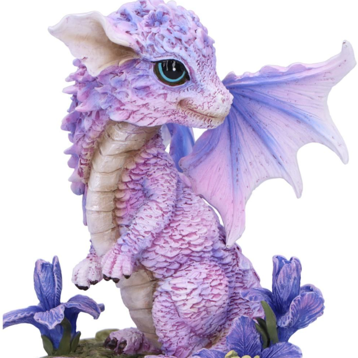 Nemesis Now Iris Flower Dragon 12cm
