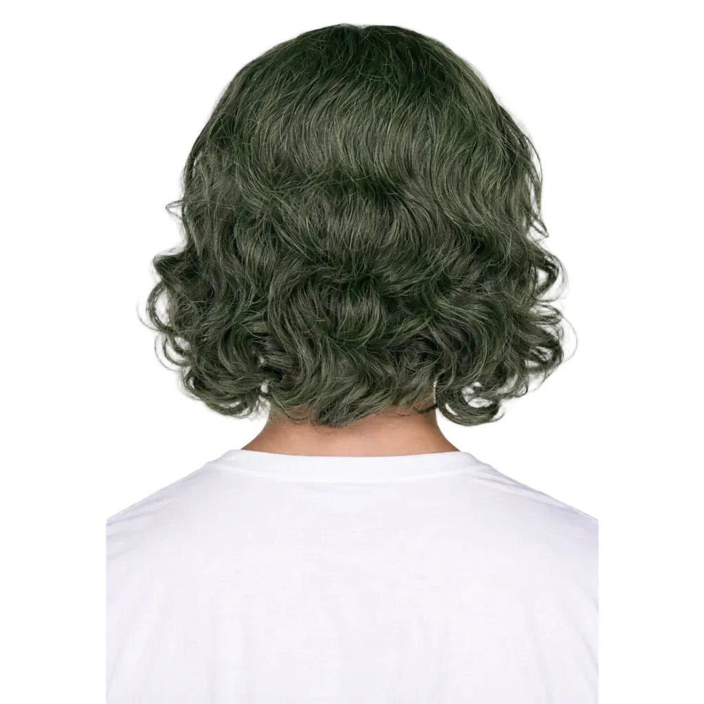Green Joker Wig
