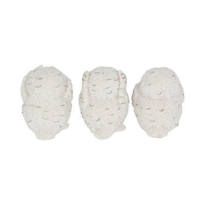 Nemesis Now Three Wise Owls 8cm