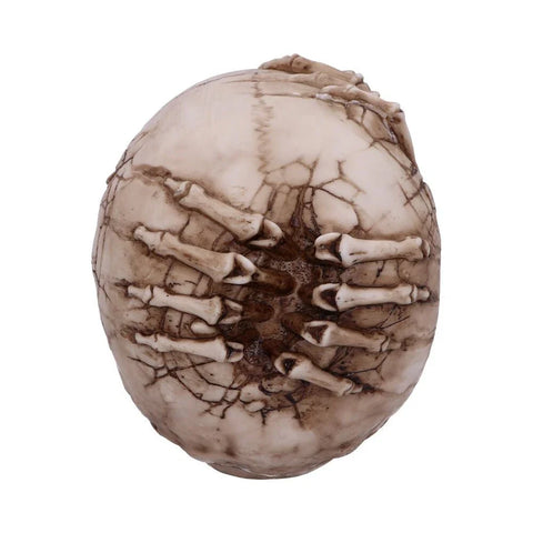 Nemesis Now Officially Licensed James Ryman Breaking Out Skull Skeleton Ornament 20cm