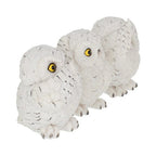 Nemesis Now Three Wise Owls 8cm