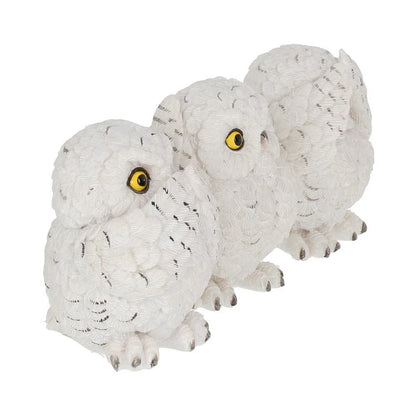 Nemesis Now Three Wise Owls 8cm
