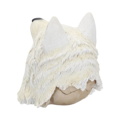 Nemesis Now Night Wolf Skull 15.6cm
