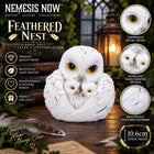 Feathered Nest Owl Figurne 10cm
