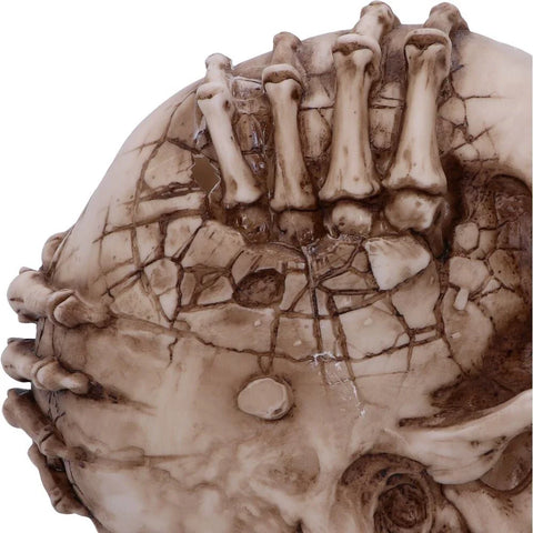Nemesis Now Officially Licensed James Ryman Breaking Out Skull Skeleton Ornament 20cm
