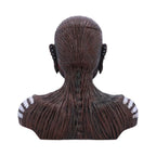 Nemesis Now Iron Maiden The Book of Souls Bust Box (Small)