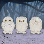Nemesis Now Three Wise Owls 8cm