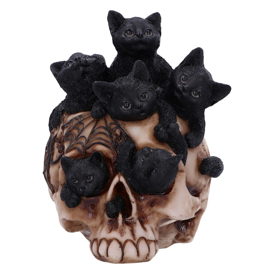 Nemesis Now Cranial Litter 14cm