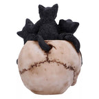 Nemesis Now Cranial Litter 14cm