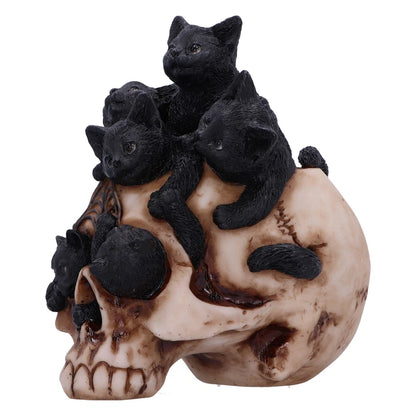Nemesis Now Cranial Litter 14cm