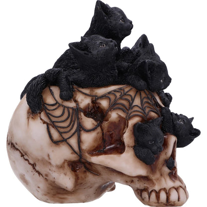 Nemesis Now Cranial Litter 14cm