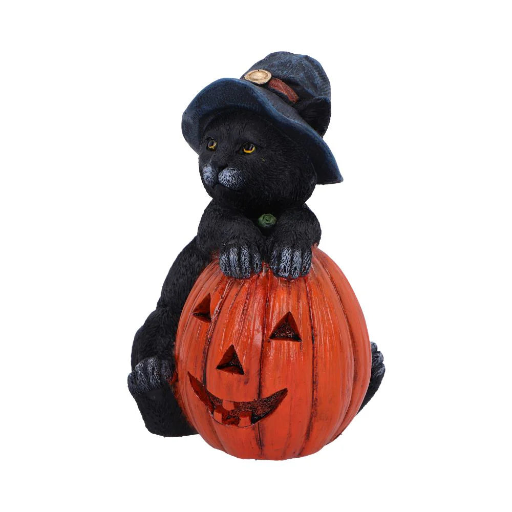 Trick or Treat Cat with Pumpkin Figurine 13cm Nemesis Now