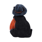 Trick or Treat Cat with Pumpkin Figurine 13cm Nemesis Now