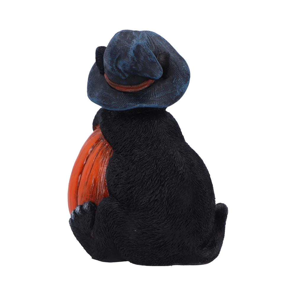 Trick or Treat Cat with Pumpkin Figurine 13cm Nemesis Now