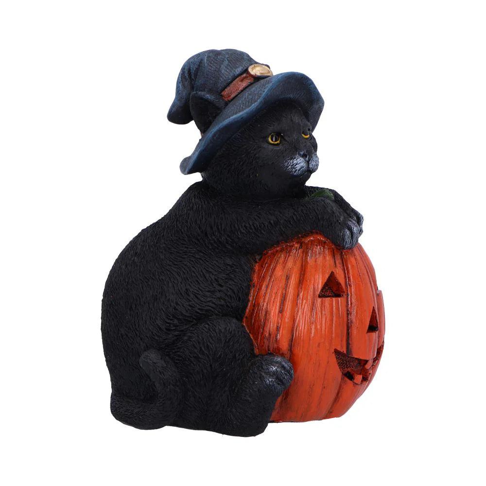 Trick or Treat Cat with Pumpkin Figurine 13cm Nemesis Now