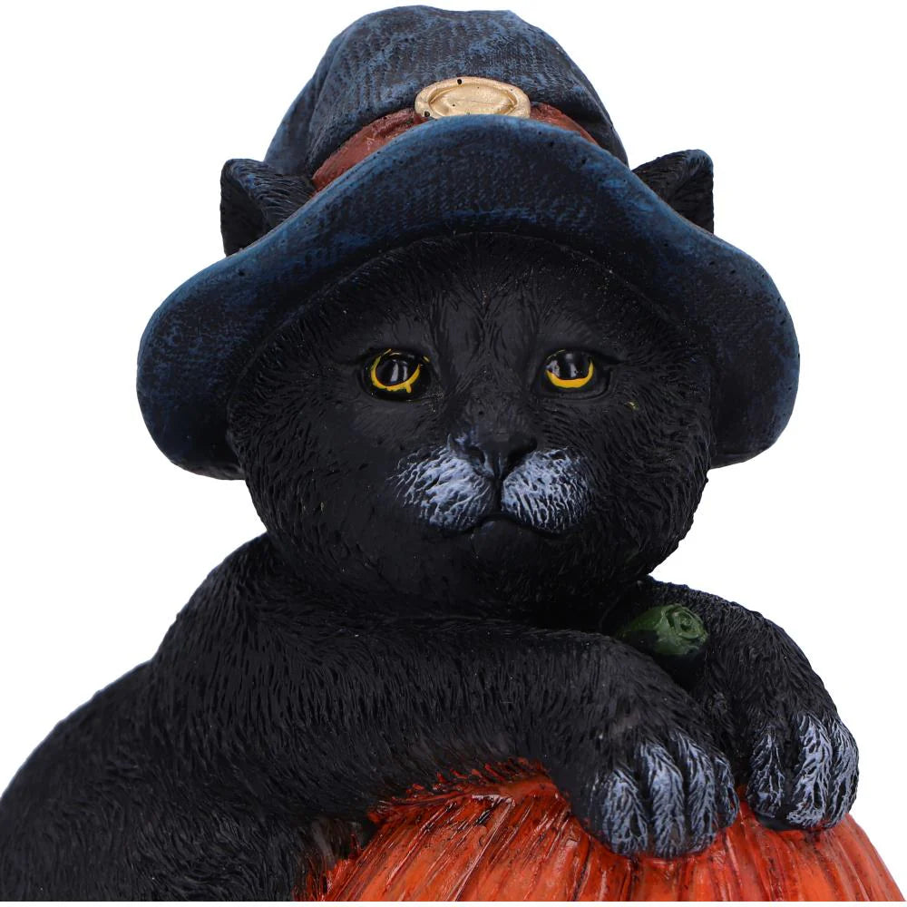 Trick or Treat Cat with Pumpkin Figurine 13cm Nemesis Now