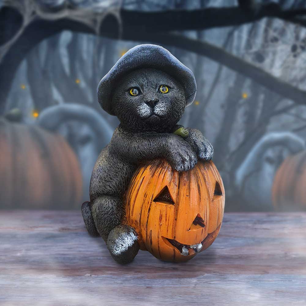 Trick or Treat Cat with Pumpkin Figurine 13cm Nemesis Now