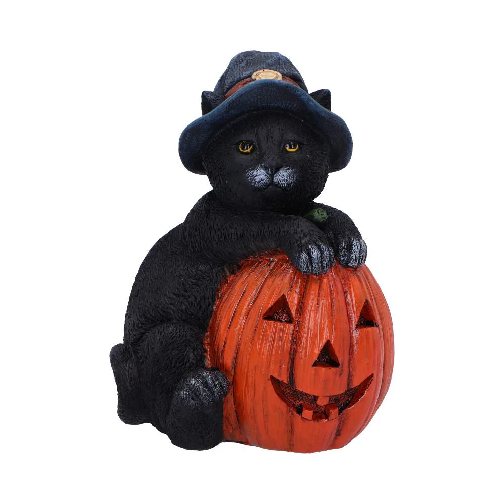 Trick or Treat Cat with Pumpkin Figurine 13cm Nemesis Now